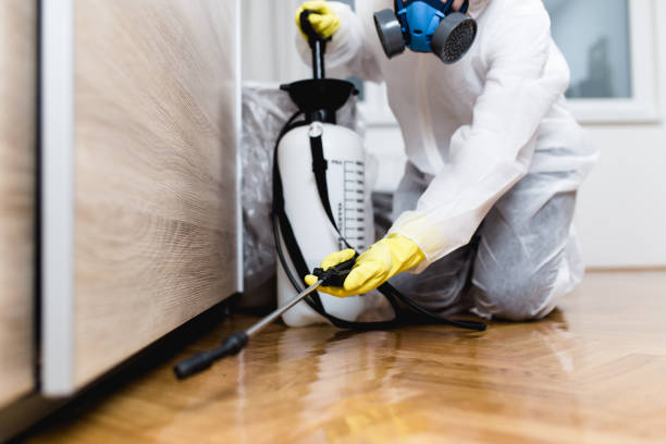 Best Pest Control Near Me in Four Oaks, NC