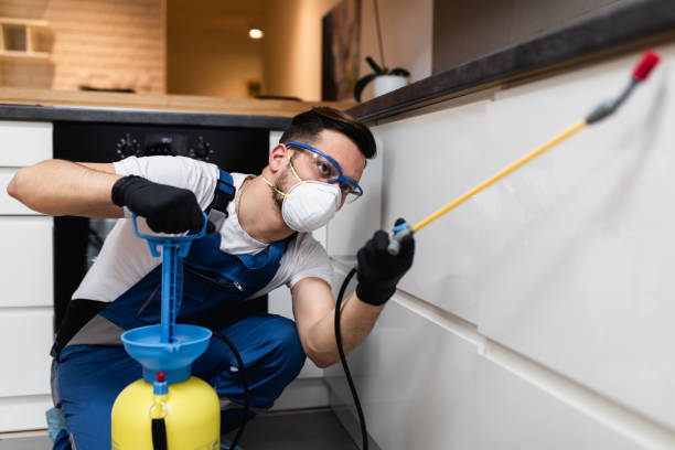 Professional Pest Control in Four Oaks, NC