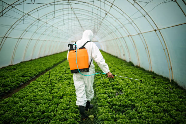 Best Residential Pest Control  in Four Oaks, NC