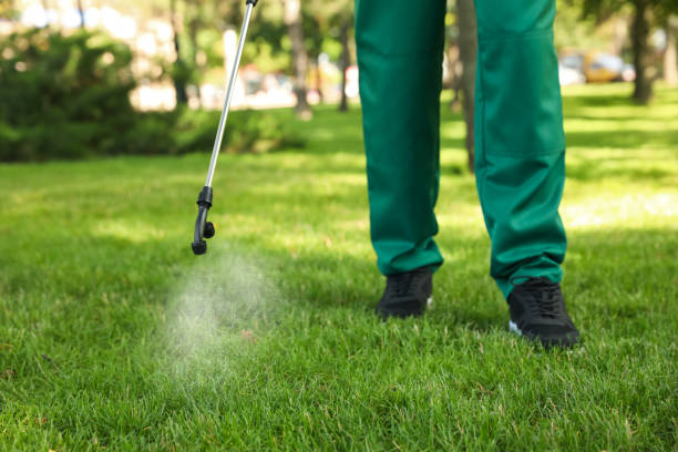 Best Local Pest Control Services  in Four Oaks, NC