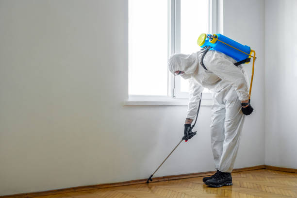 Best Best Pest Control Companies  in Four Oaks, NC