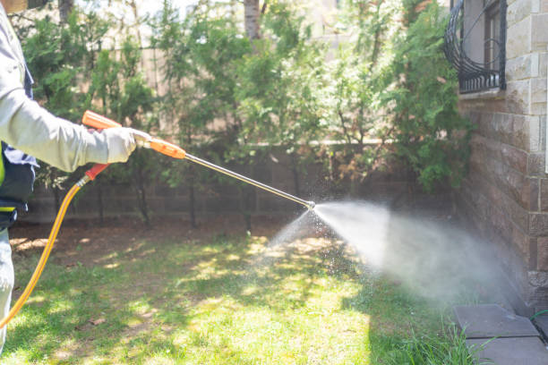Best Flea Control Services  in Four Oaks, NC