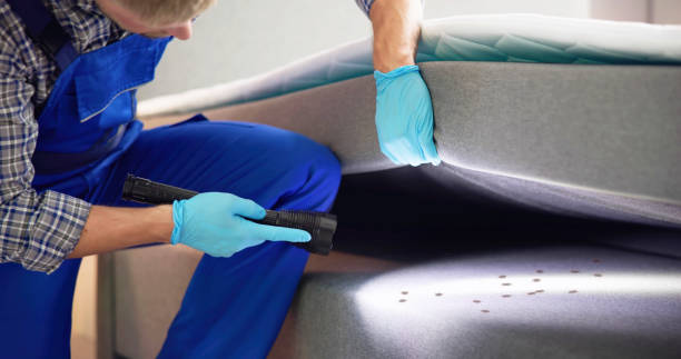 Best Pest Inspection Near Me  in Four Oaks, NC