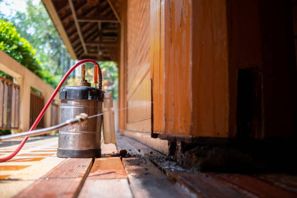 Best Mosquito Control Services  in Four Oaks, NC