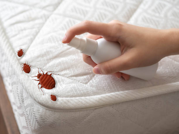 Four Oaks, NC Pest Control Company