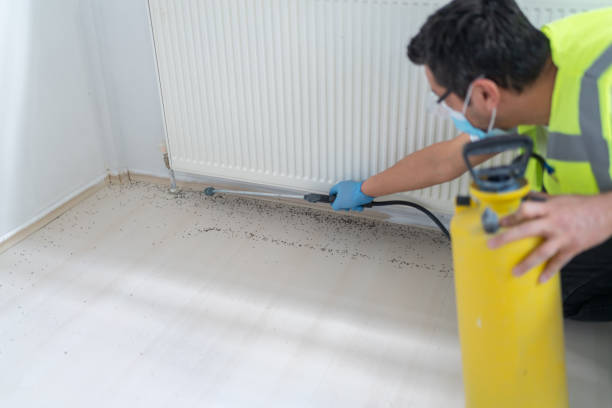 Best Pest Prevention Services  in Four Oaks, NC