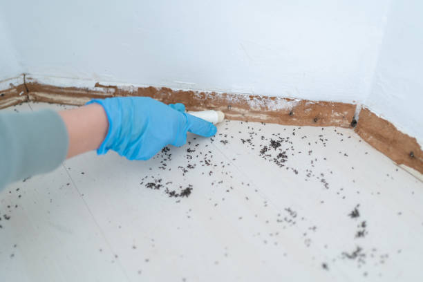Best Pest Removal Services  in Four Oaks, NC